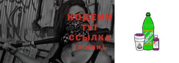гидра Богданович