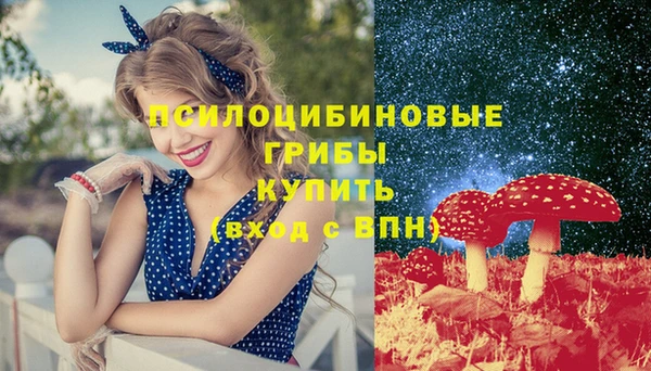шишки Богородицк
