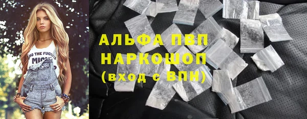 гидра Богданович